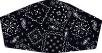 Bandanna001