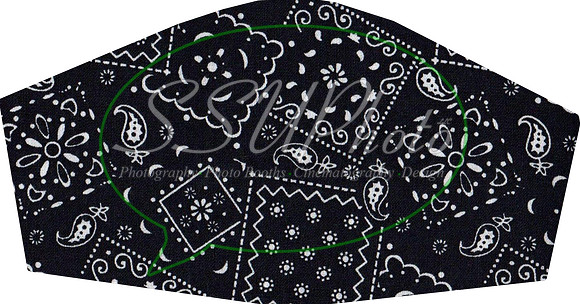 Bandanna001