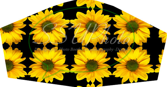 Sunflowers002