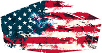 America1