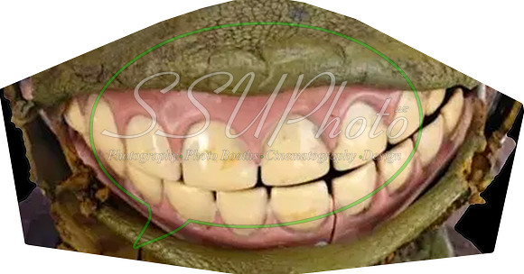 TNMNT002