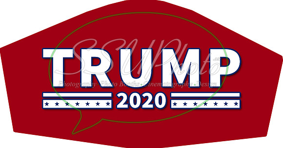 Trump2020004