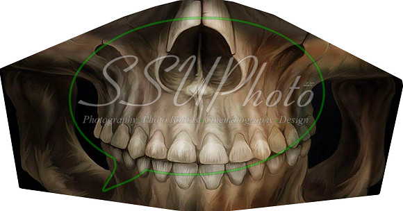 Skull001