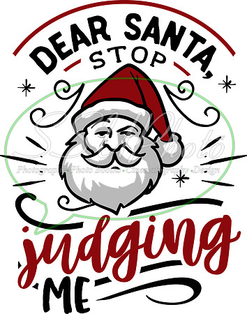 Dear Santa stop judging me