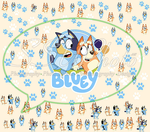 bluey (94)