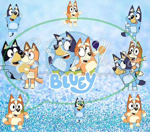 bluey (88)