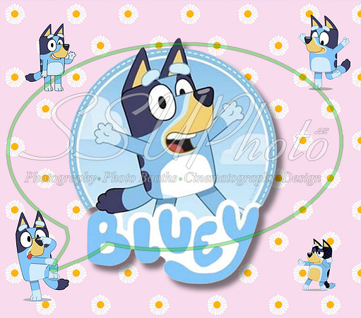 bluey (27)