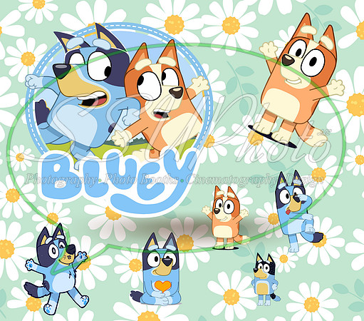 bluey (46)