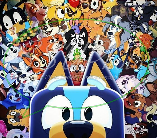 bluey (77)