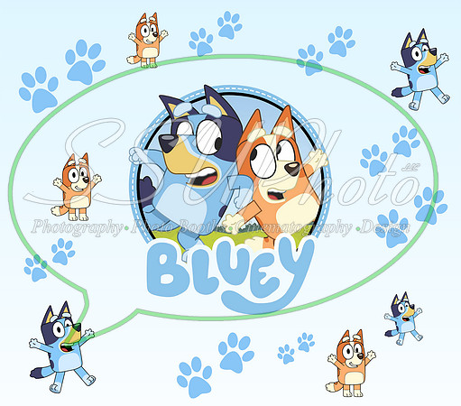 bluey (117)