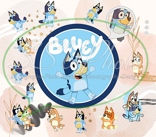 bluey (103)