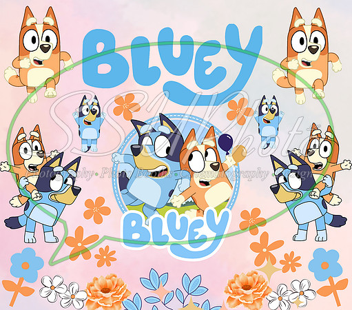 bluey (91)
