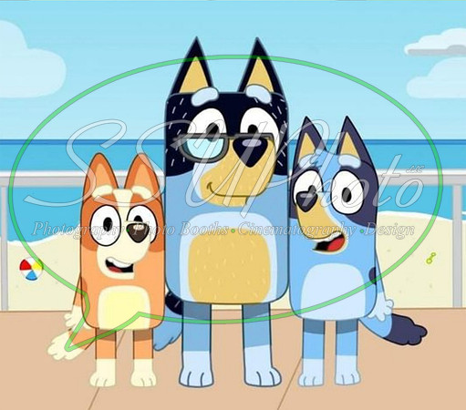 bluey (49)