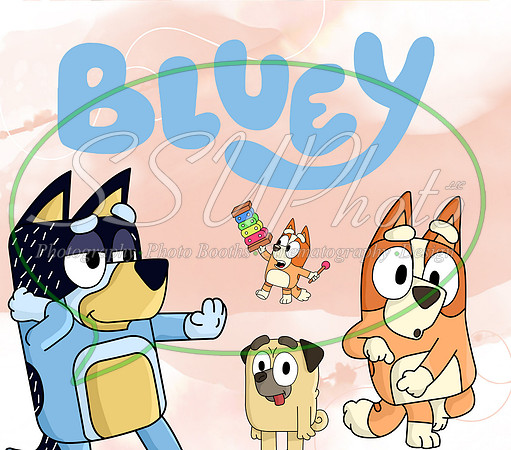 bluey (38)