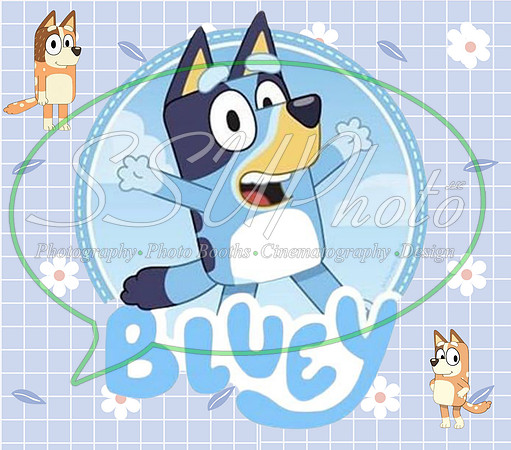 bluey (29)