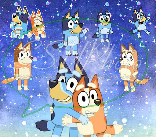 bluey (23)