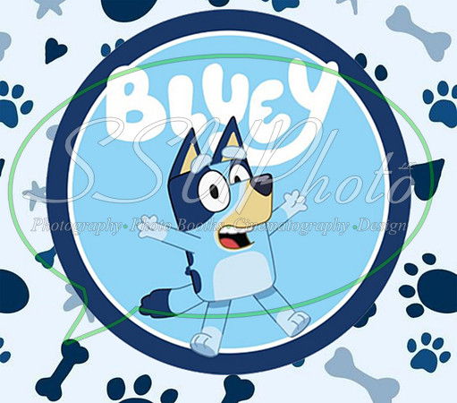 bluey (72)