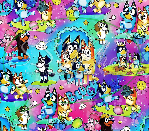 bluey (11)