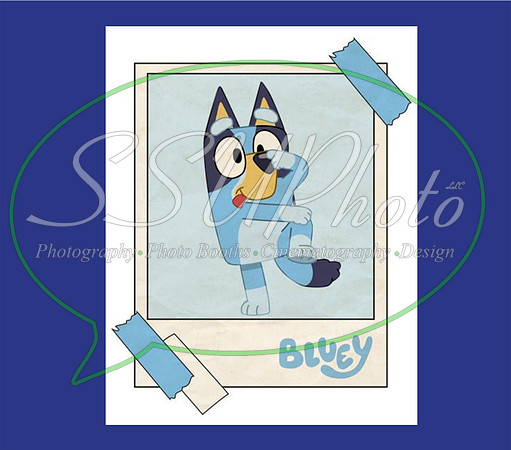 bluey (43)