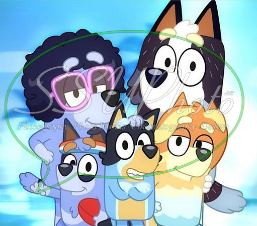 bluey (51)