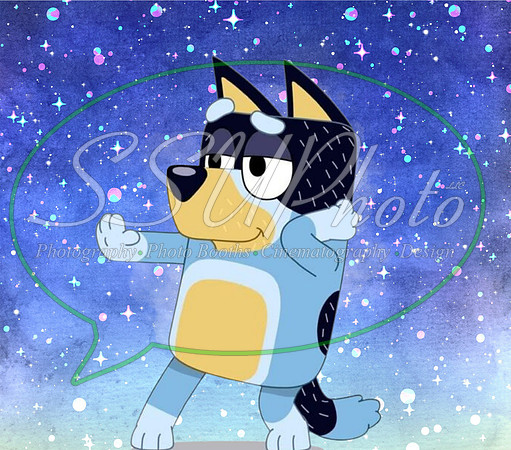 bluey (41)