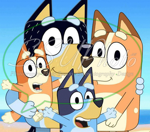 bluey (108)