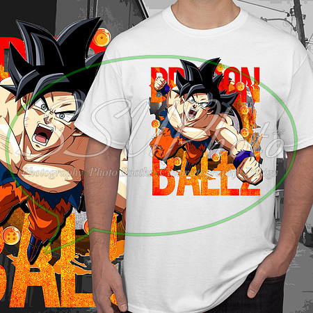 dragonball (8)