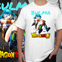 dragonball (11)