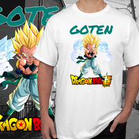 dragonball (13)