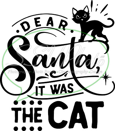Dear Santa it was the cat - black