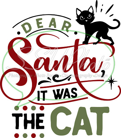 Dear Santa it was the cat