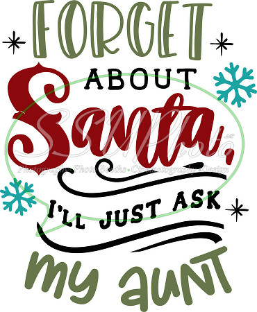 Forget about Santa I'll just ask my aunt