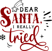 Dear Santa I really tried