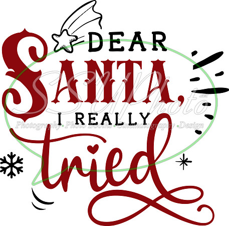 Dear Santa I really tried
