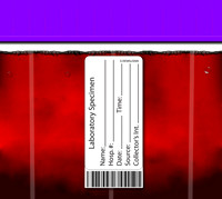 BLvialpurp
