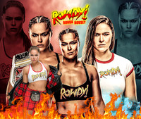WDiva2