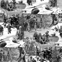 Vets3
