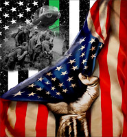 Vets22