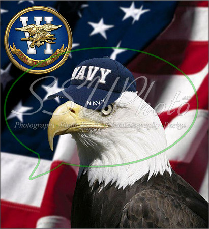 MilitaryAA17