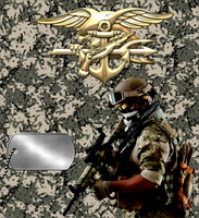 MilitaryAA11