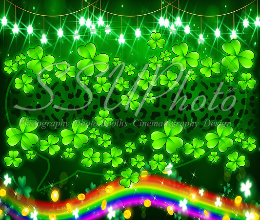Stpattysday11