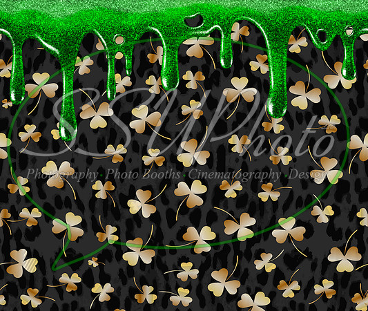 Stpattysday13