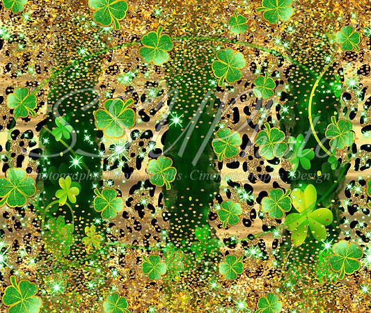Stpattysday1