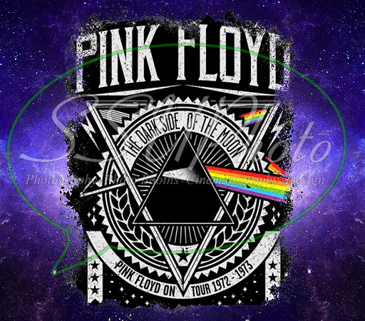 PinkFlyd1