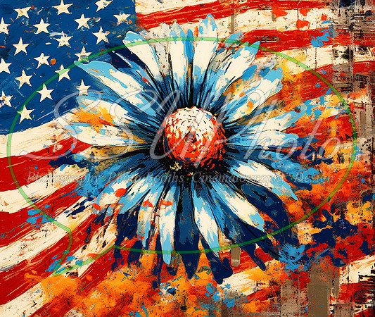 PatrioticGrafitti41