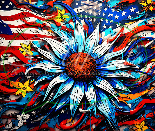PatrioticGrafitti37