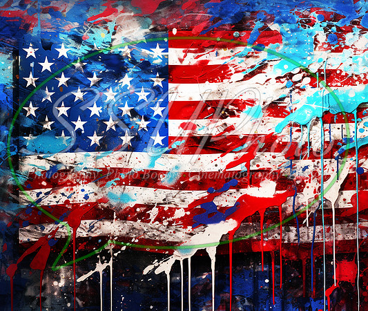 PatrioticGrafitti28