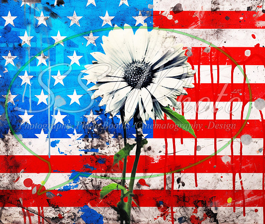 PatrioticGrafitti47