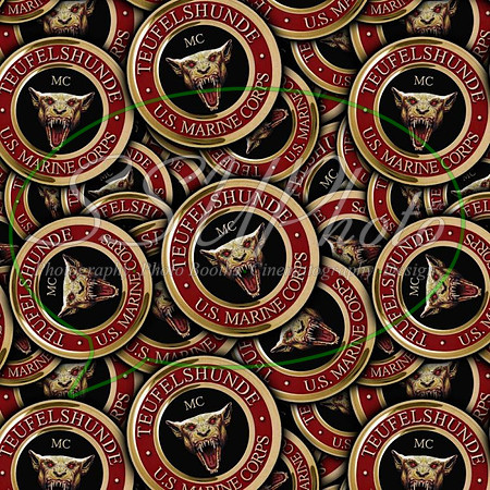 Militarynew14