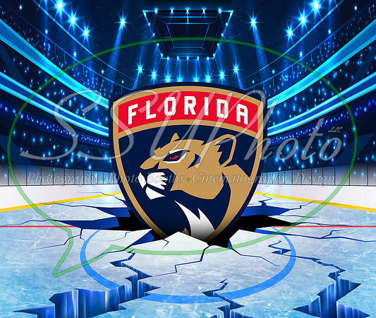 HockeySmash14